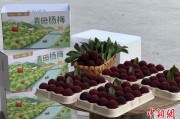 八字解读高速赋能产业升级：一条“杨梅路”的致富密码