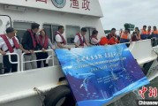 八字解读浙江今年计划放流种类海洋水生生物苗种超15亿单位